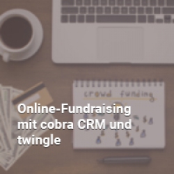 Icon online-Fundraising mit twingle