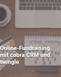 Icon online-Fundraising mit twingle